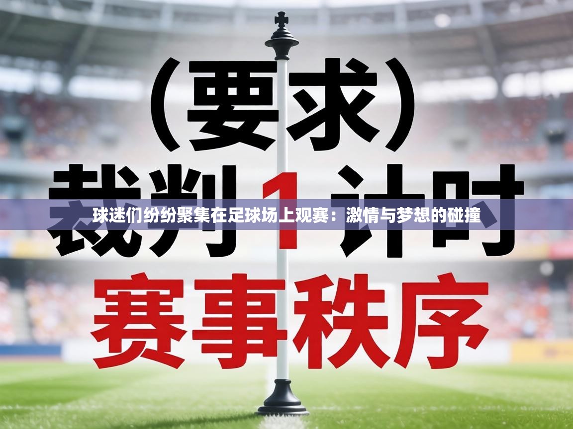 球迷们纷纷聚集在足球场上观赛：激情与梦想的碰撞  第1张
