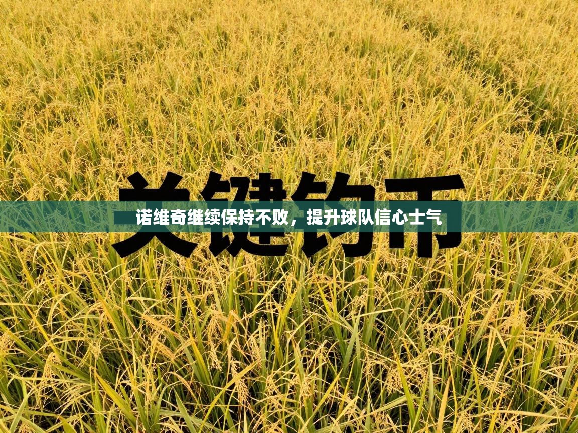 诺维奇继续保持不败，提升球队信心士气  第2张